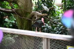 DSC_9062.JPG